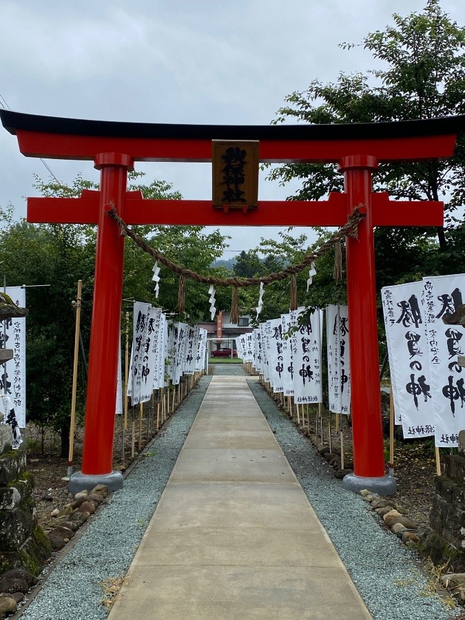 神社参拝⛩‼️