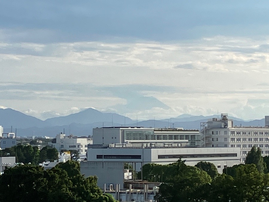 夕暮れの富士山