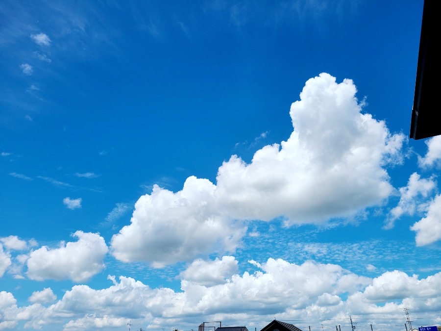 このまま良い天気でありますように✨