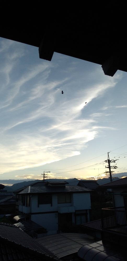 夕空とカラス≈≈