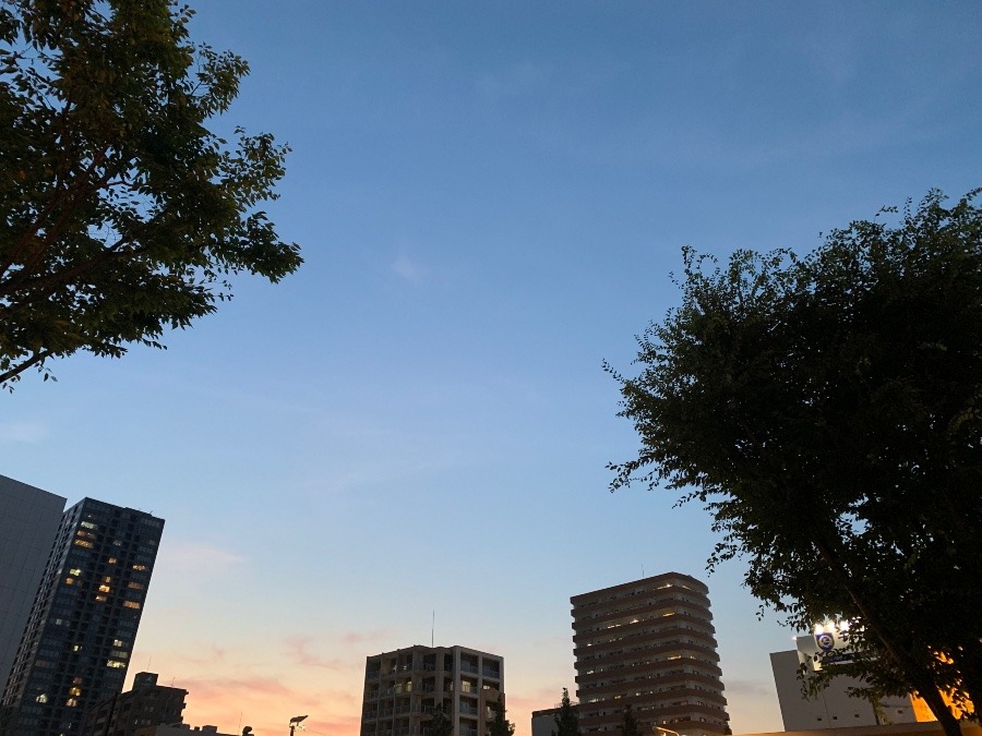 今日の夕焼け