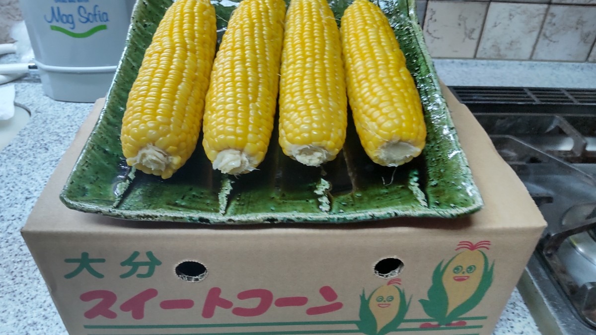 頂き物