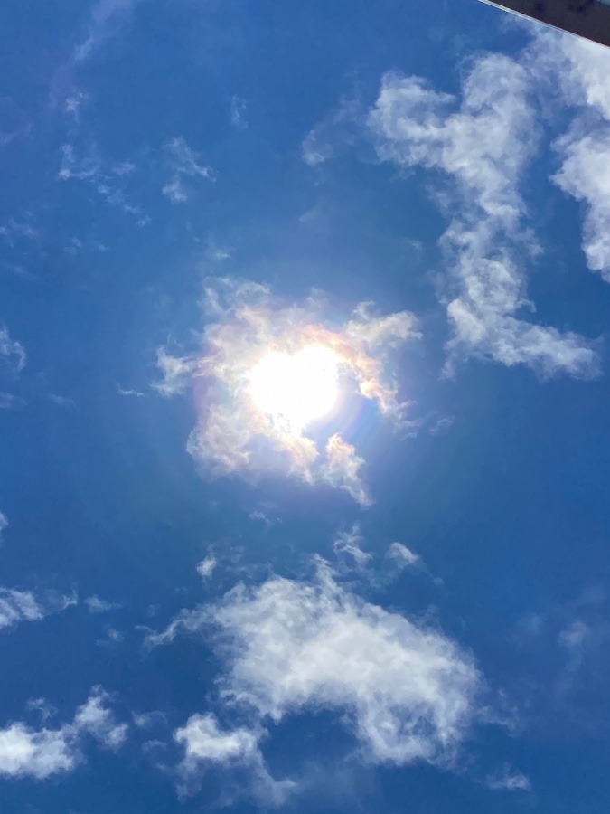 輝く太陽☀️☀️☀️