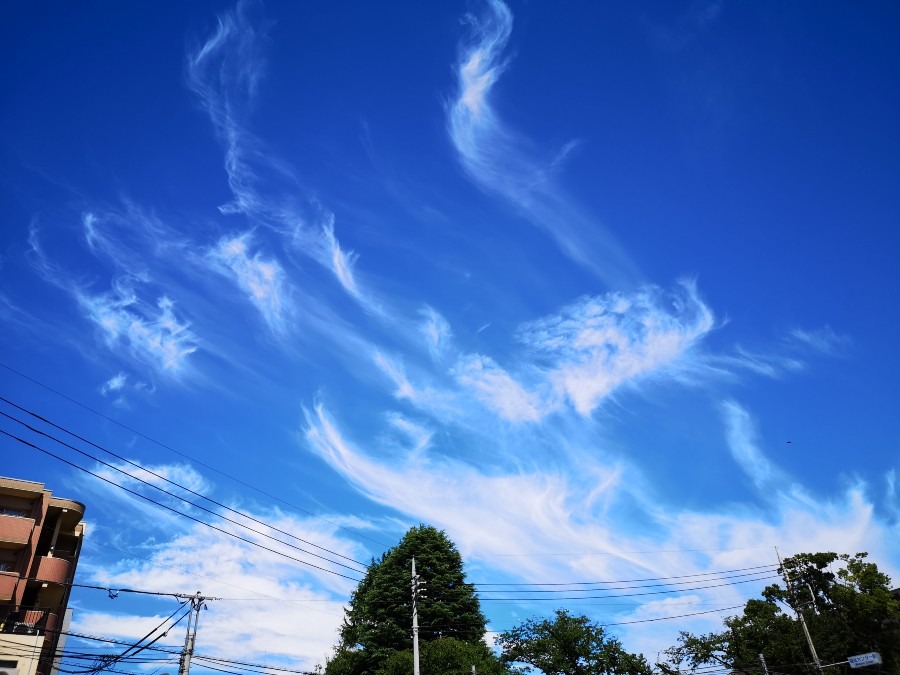 ７月27日　午前８時　空❤️