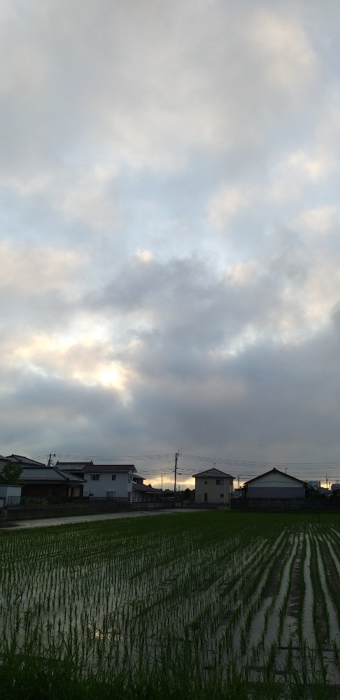 7/1　今朝の空