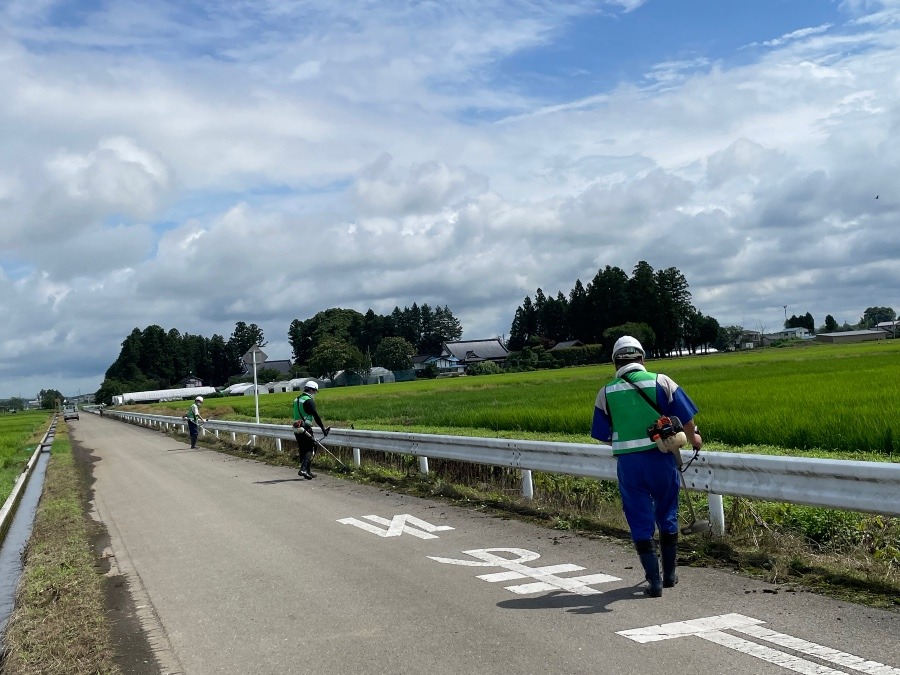 地域の草刈り