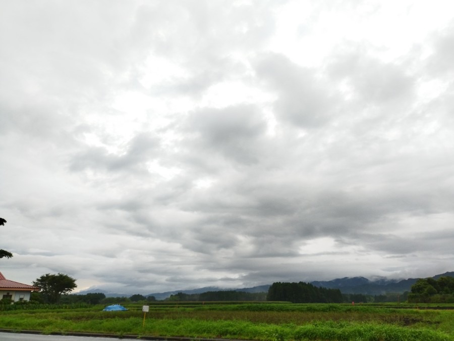 都城市（2022/7/6）今朝も雨です😓❗