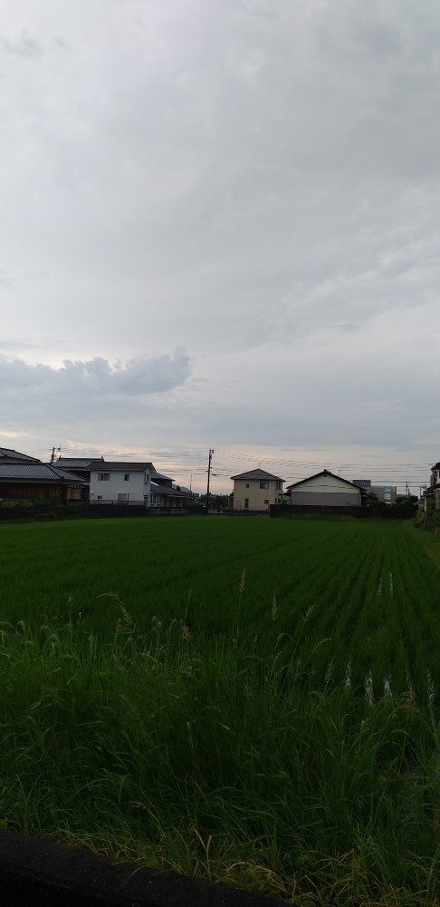 7/15　今朝の空