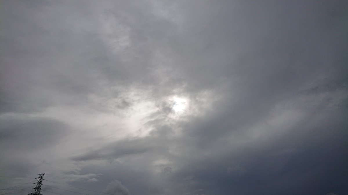 雨が降ってます☔