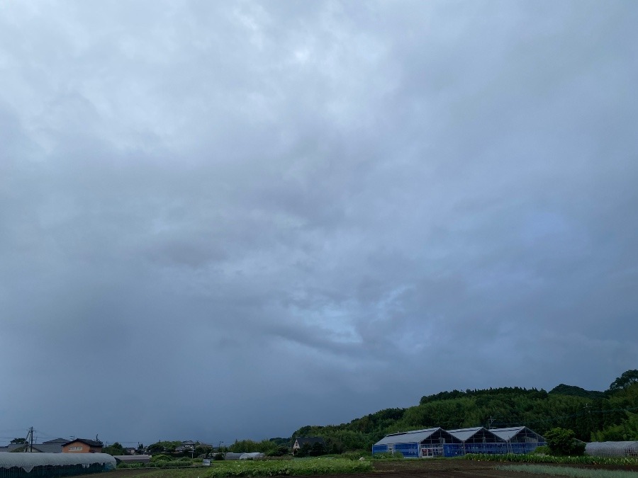 今朝の空　7／31