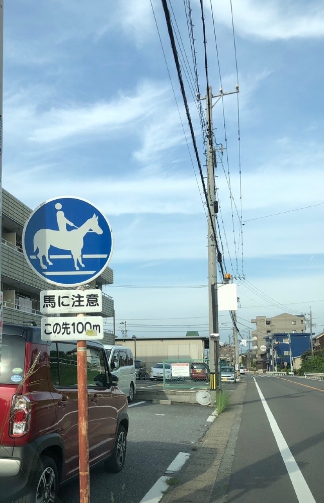 えっ🐎