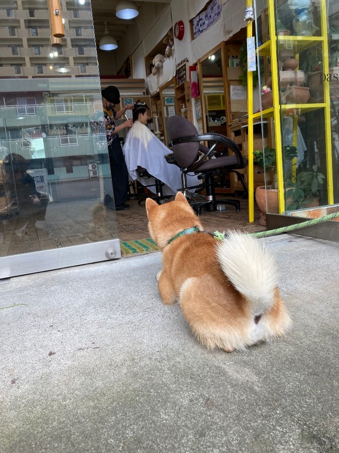 サバヲ食堂のかん吉