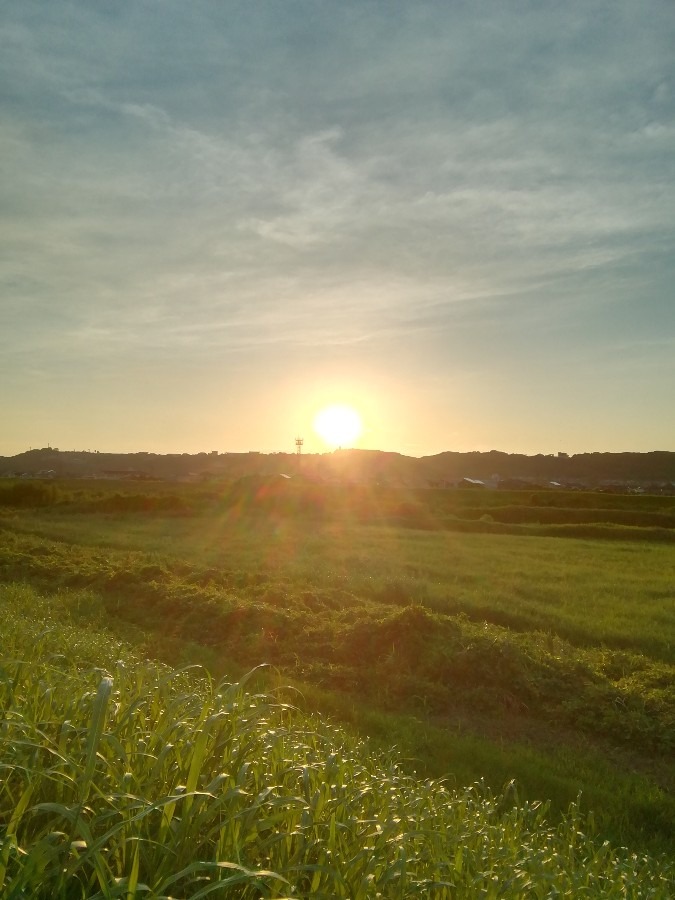 今朝の空