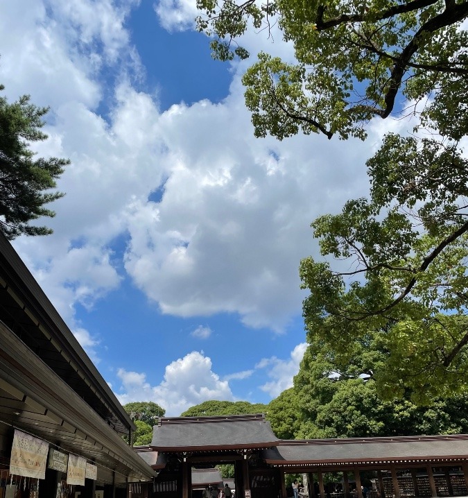 今日の空✨