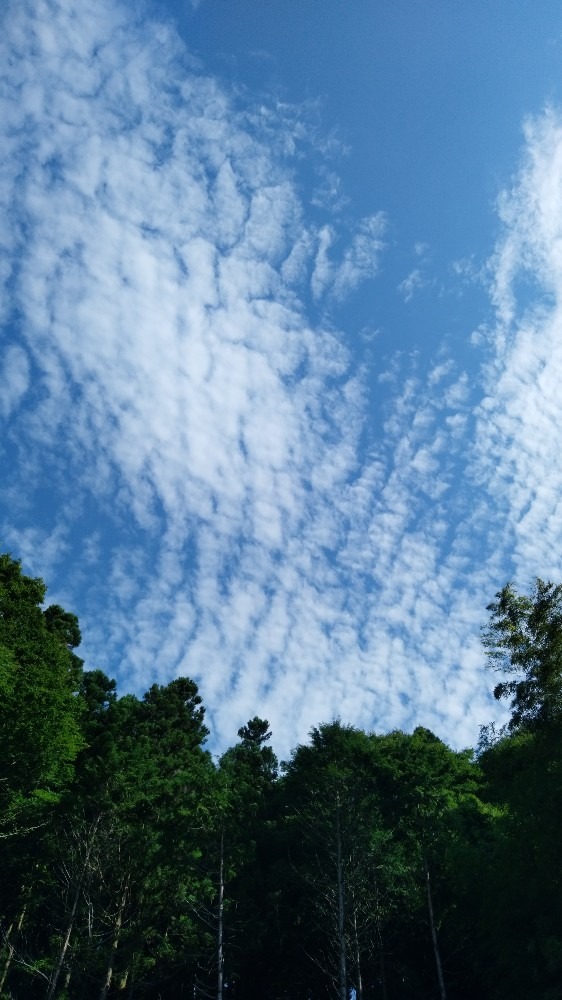 夏空　7/31　