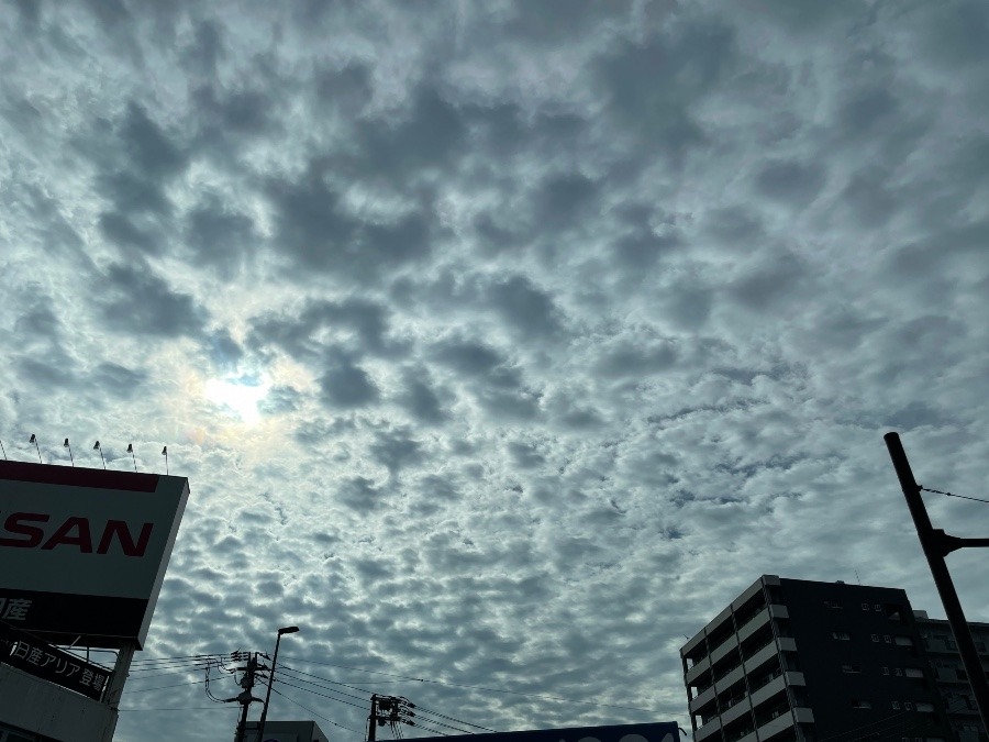 今日の広島の空☺️