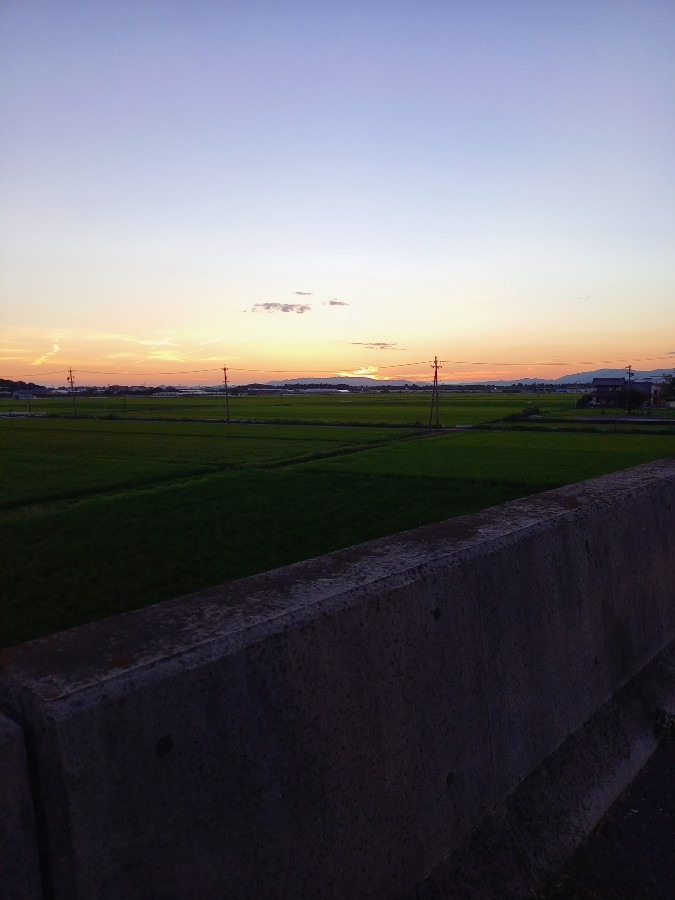 金夕焼け！！