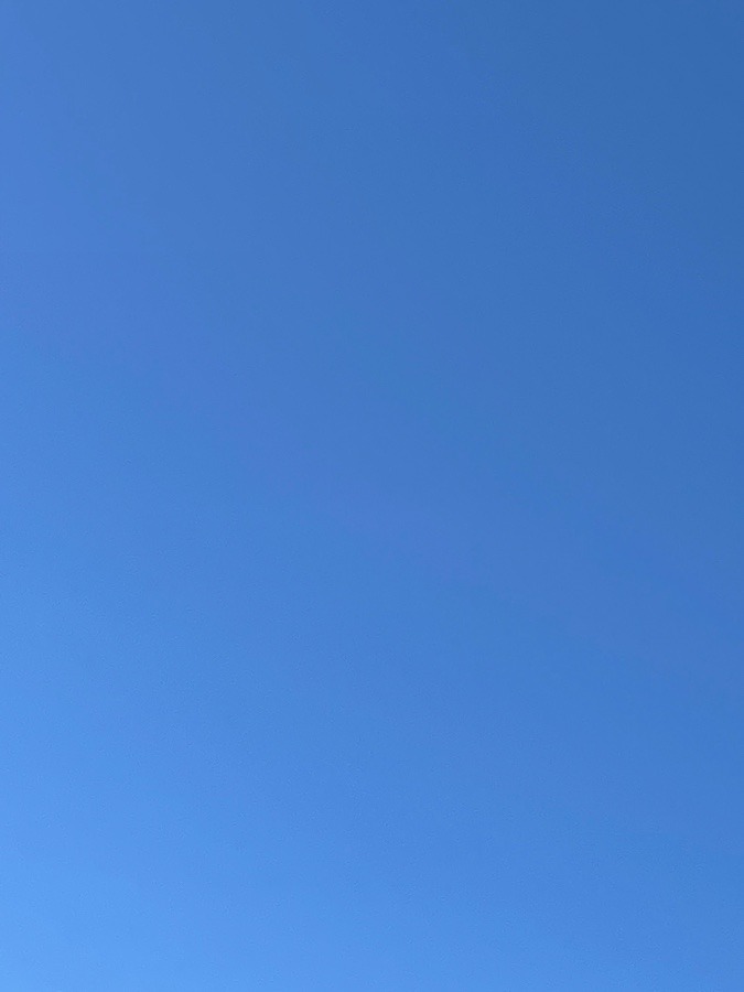 今日の岡崎