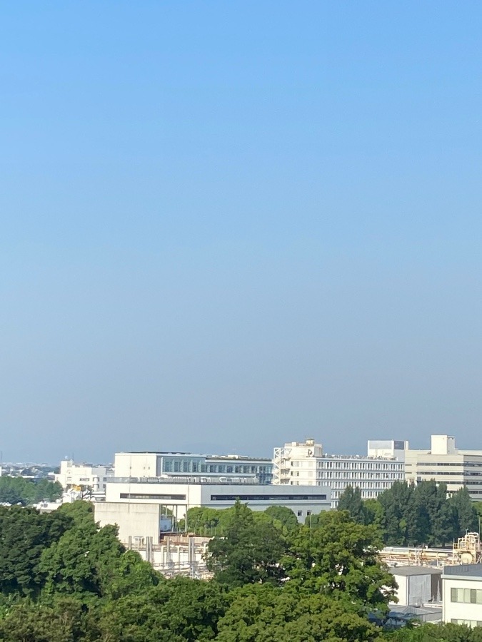 今朝の富士山