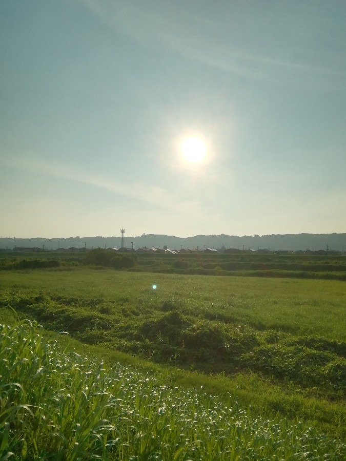 今朝の空