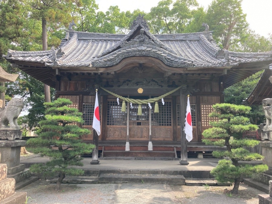 ✨八坂神社✨