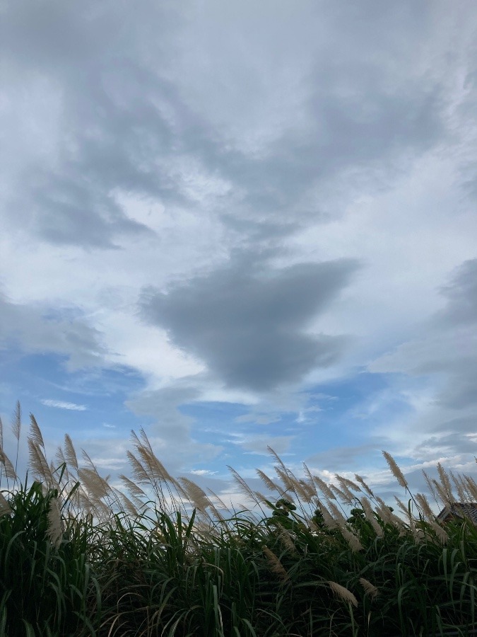 17時の空