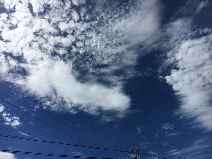 ⭕️空部→   いま空(^O^)‼️78.