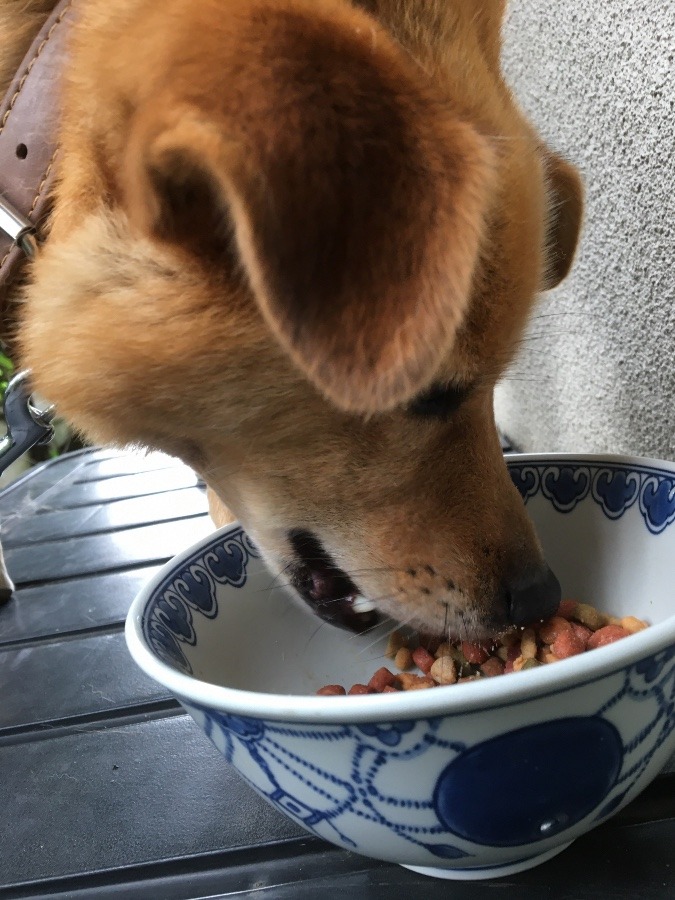 おかげさまで！！