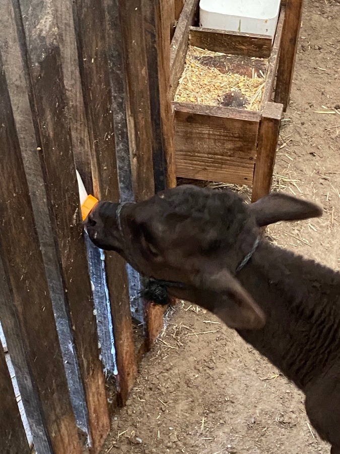 いっぱい飲んでね❤️