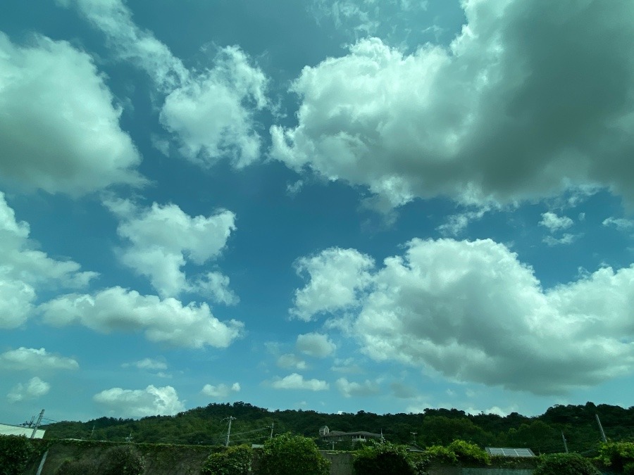 名神高速道路を西へ。