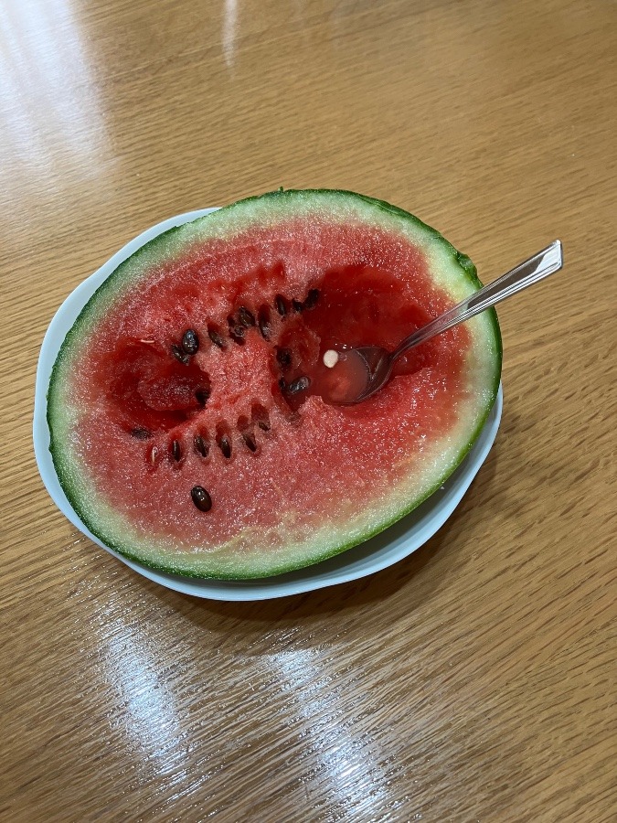 スプーンで食べるスイカ🍉