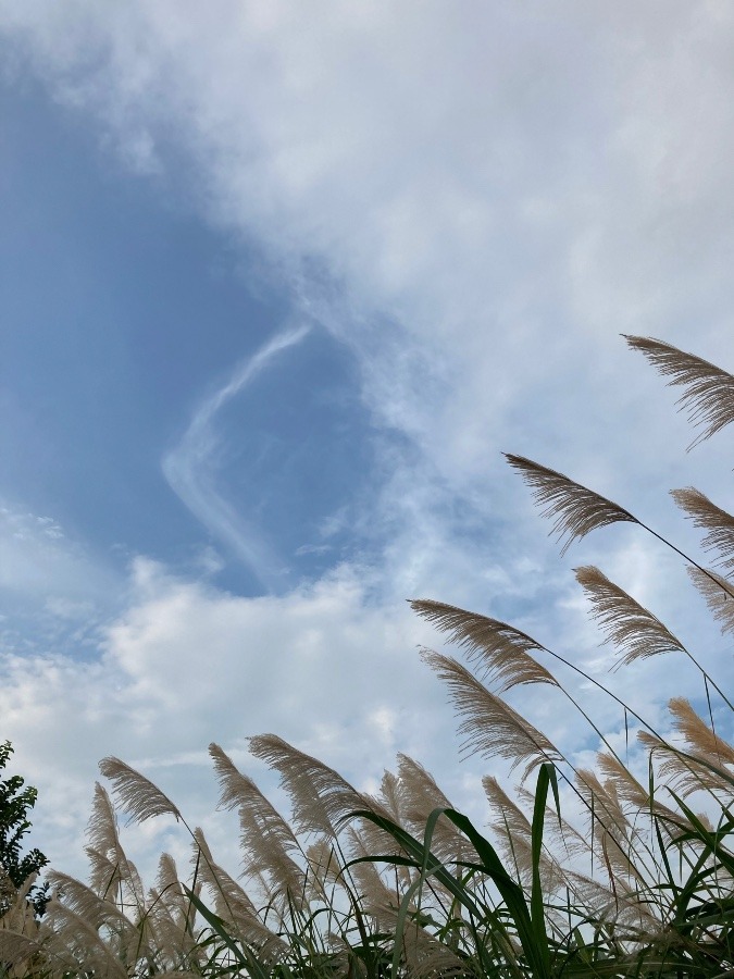 ひらがなのくに見える雲みっけ‼️