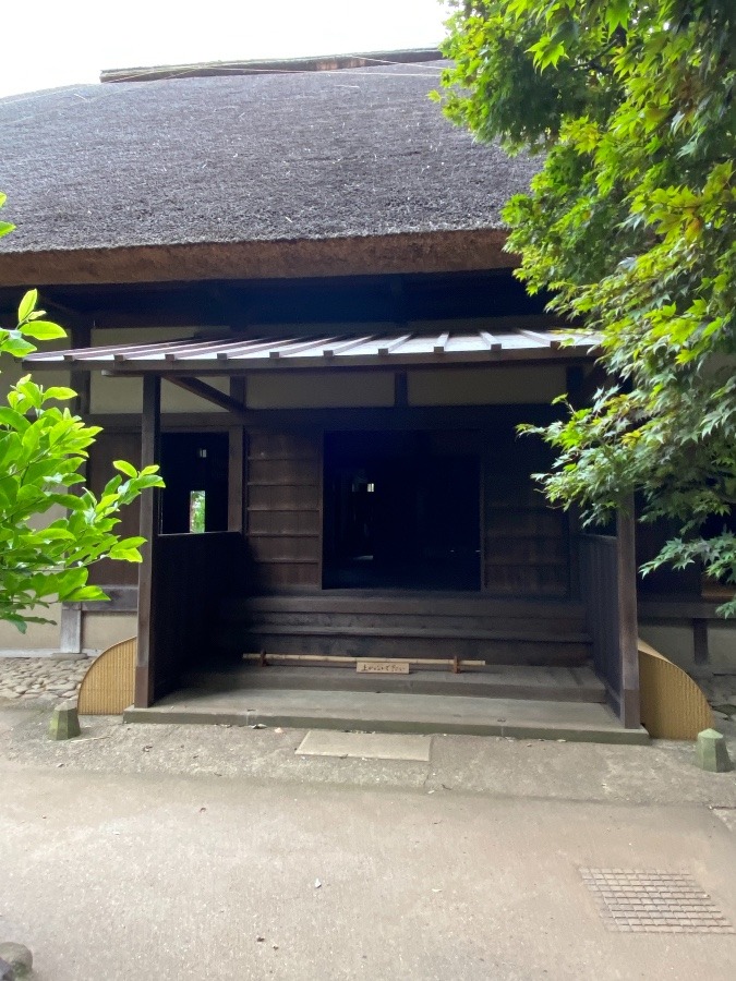 門の裏から🚪 世田谷代官屋敷