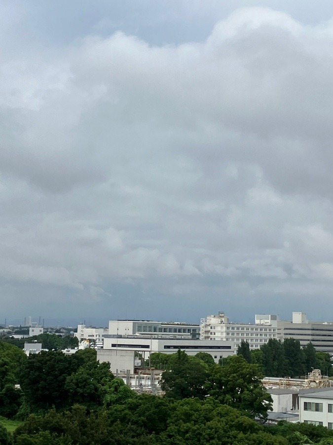 今朝の富士山