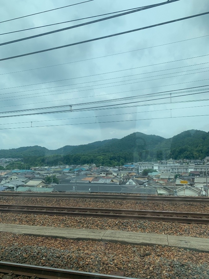 スカルが、見てる…