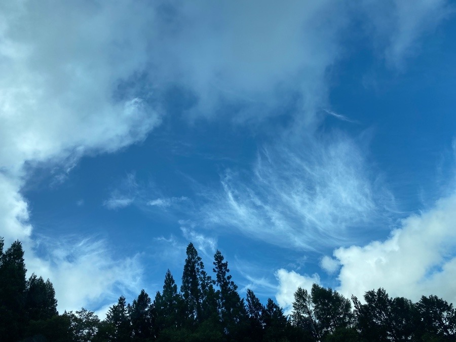 トンネル出口は雨