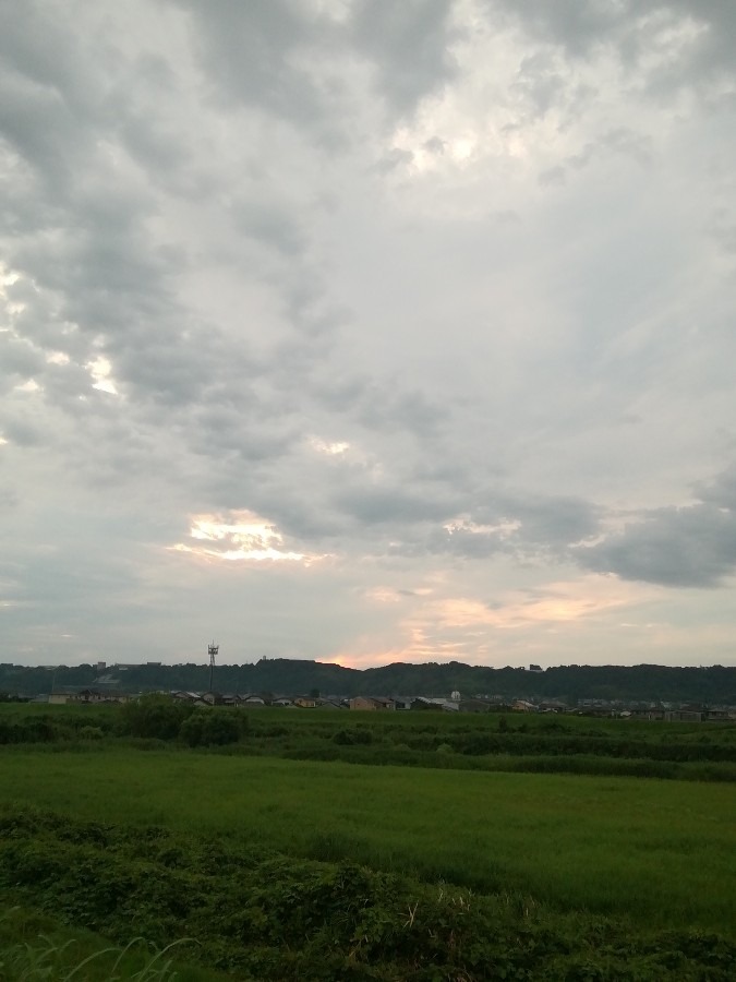 今朝の空