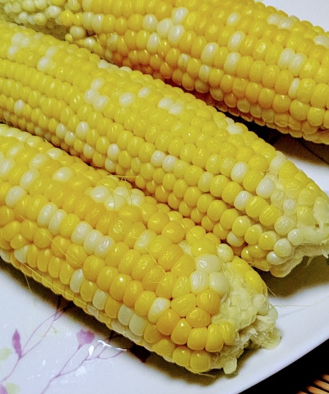 トウモロコシ初収穫～🌽