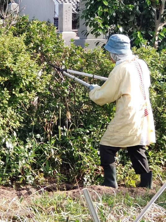 果敢に攻めてます