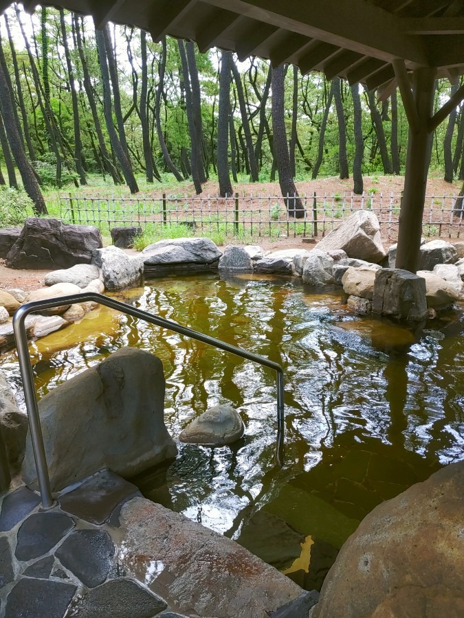 松林の中の温泉♨️