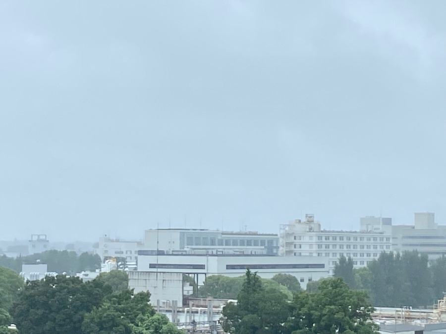 今朝の富士山