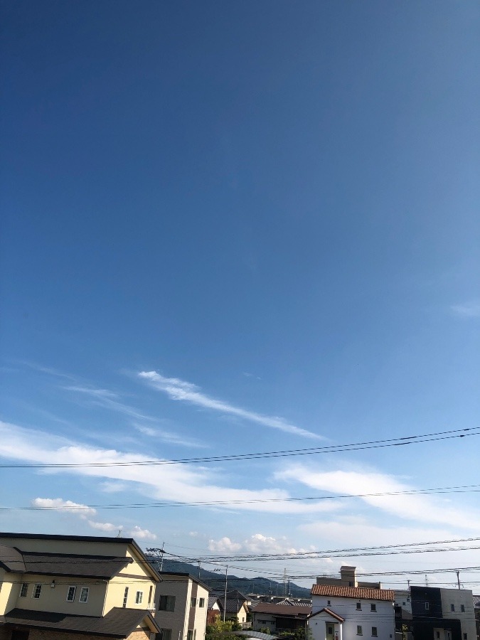 今空