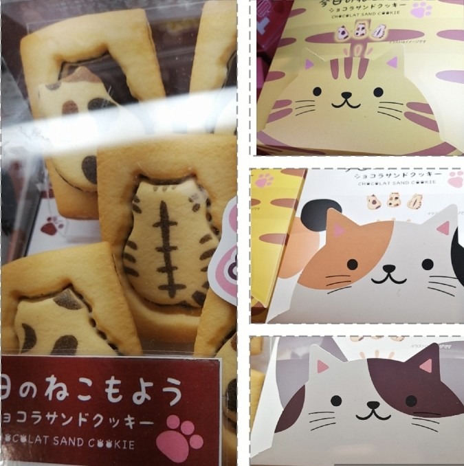 今日のねこもよう