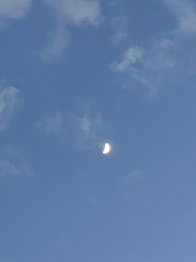 夕暮れの月🌙