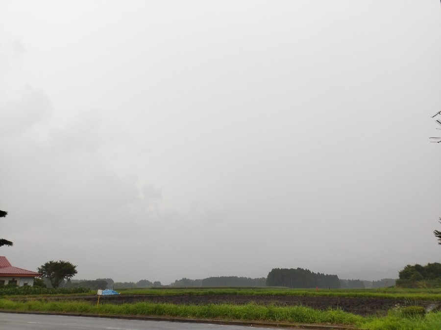 都城市（2022/7/18）今朝は小雨がぱらついてます😅❗