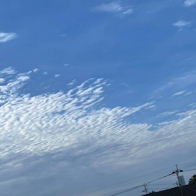 2022/07/08 朝の空