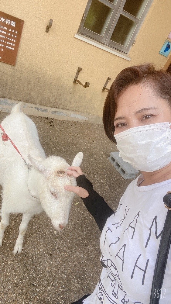 Yamanomura Goat 🐐