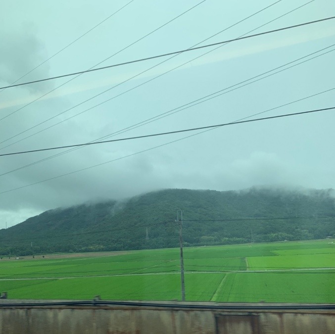 煙る山(新幹線の車窓から)