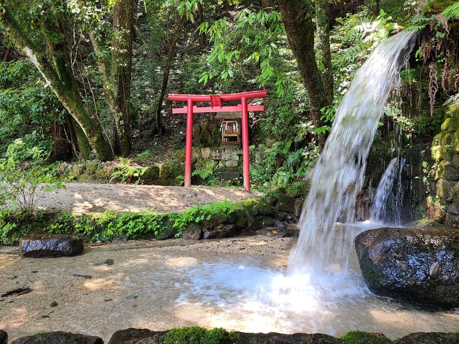 猿投神社参拝