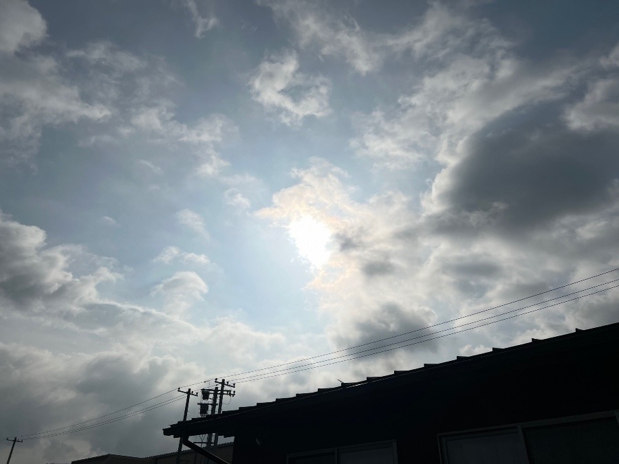 7月15日の朝